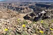 /shared/upload/IMAGES/Galery/Namibia_2025/photo-109.jpg