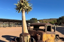 /shared/upload/IMAGES/Galery/Namibia_2025/photo-165.jpg