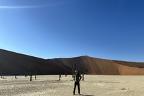 /shared/upload/IMAGES/Galery/Namibia_2025/photo-180.jpg