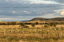/shared/upload/IMAGES/Galery/Namibia_2025/photo-311.jpg