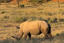 /shared/upload/IMAGES/Galery/Namibia_2025/photo-34.jpg
