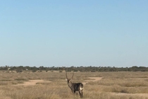/shared/upload/IMAGES/Galery/Namibia_2025/photo-352.jpg