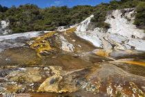 /shared/upload/IMAGES/Galery/New_Zealand_2026/20260320-133602-wd-marked.jpg