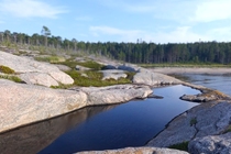 /shared/upload/IMAGES/Galery/Onega_ostrova_2026/1792438837036.jpg